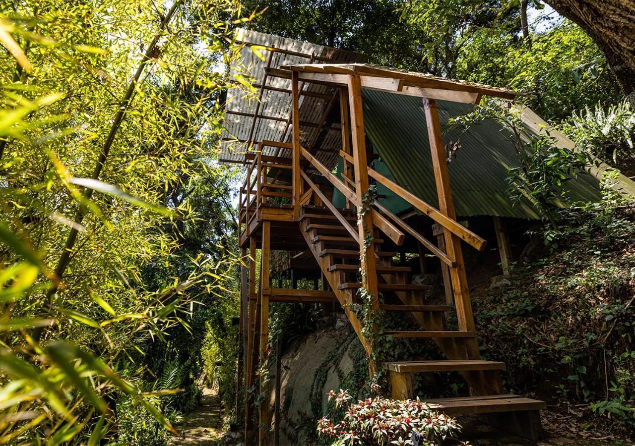 Earth Lodge Антигуа-Гватемала Экстерьер фото