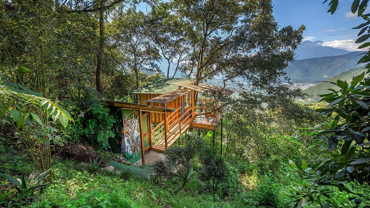 Earth Lodge Антигуа-Гватемала Экстерьер фото