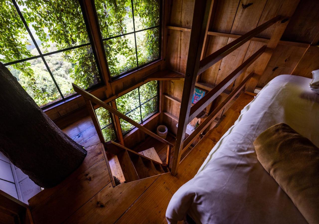 Earth Lodge Антигуа-Гватемала Экстерьер фото