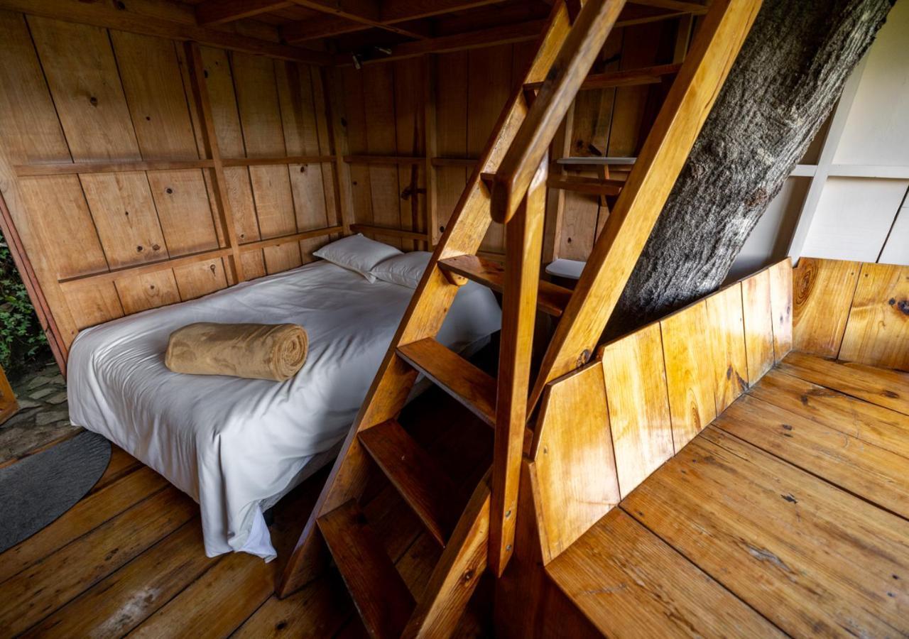 Earth Lodge Антигуа-Гватемала Экстерьер фото